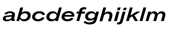 ABCROMExtended MediumItalic FONT