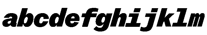 ABCROMMono BlackItalic FONT