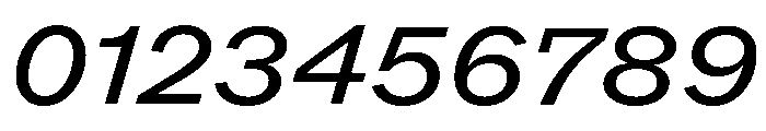ABCROMWide BookItalic Font OTHER CHARS