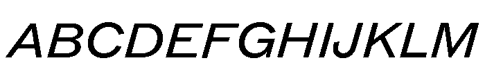 ABCROMWide BookItalic Font UPPERCASE