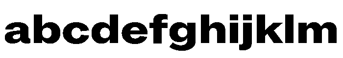 ABCROMWide Heavy FONT
