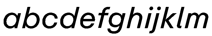 ABCRepro RegularItalic FONT