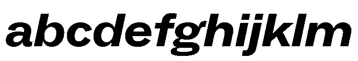 ABCSocialExtended BlackItalic FONT