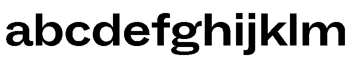 ABCSocialExtended Bold FONT