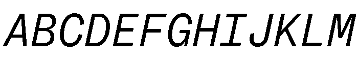 ABCSocialMono BookItalic Font UPPERCASE
