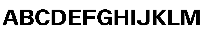 ABCWalterNeue Bold Font UPPERCASE