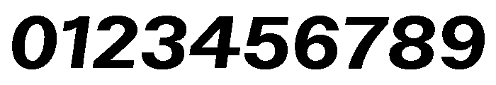ABCWalterNeue BoldItalic Font OTHER CHARS