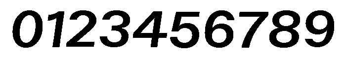 ABCWalterNeue MediumItalic Font OTHER CHARS