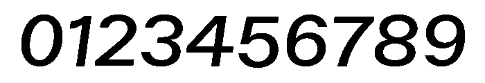ABCWalterNeue RegularItalic Font OTHER CHARS