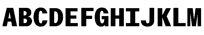 ABCWalterNeueMono Extrabold Font UPPERCASE
