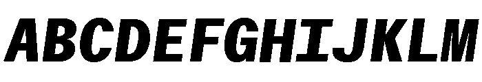 ABCWalterNeueMono ExtraboldItalic Font UPPERCASE