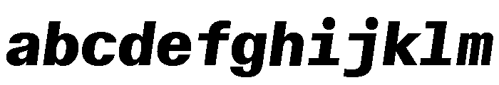 ABCWalterNeueMono ExtraboldItalic FONT
