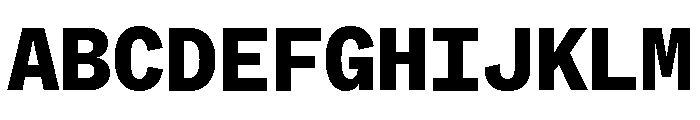 ABCWhyteMono Heavy Font UPPERCASE