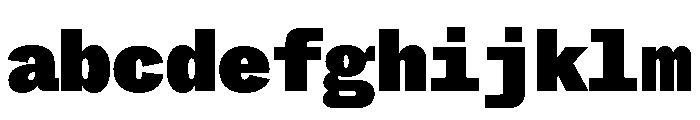 ABCWhyteMono Super FONT