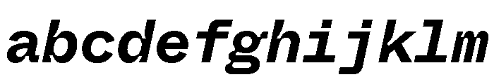 ABCWhyteMonoInktrap BoldItalic FONT