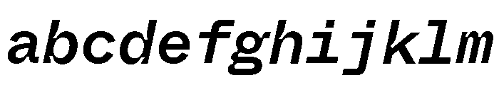 ABCWhyteMonoInktrap MediumItalic FONT