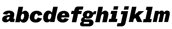 ABCWhyteSemi Mono BlackItalic FONT