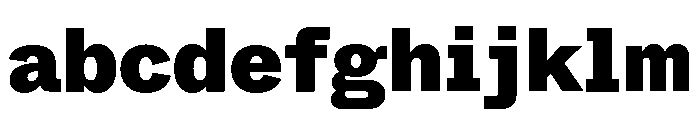 ABCWhyteSemi Mono Black FONT