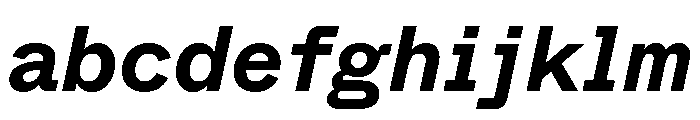 ABCWhyteSemi Mono BoldItalic FONT