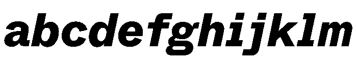 ABCWhyteSemi Mono HeavyItalic FONT