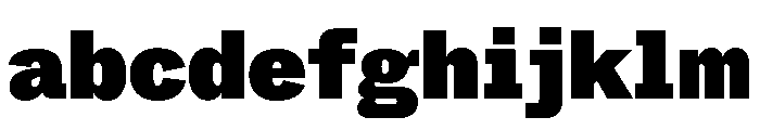 ABCWhyteSemi Mono Super FONT