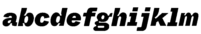 ABCWhyteSemi MonoInktrap BlackItalic FONT