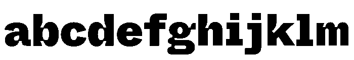 ABCWhyteSemi MonoInktrap Black FONT