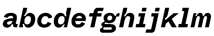 ABCWhyteSemi MonoInktrap BoldItalic FONT
