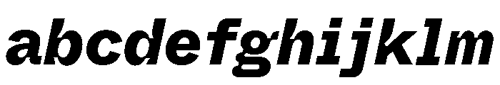 ABCWhyteSemi MonoInktrap HeavyItalic FONT