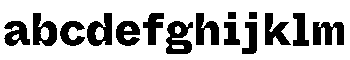 ABCWhyteSemi MonoInktrap Heavy FONT