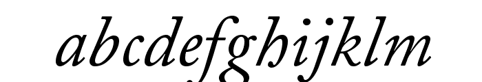 ACaslonPro-Italic Font LOWERCASE