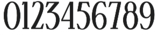 Aceserif Regular otf (400) Font OTHER CHARS