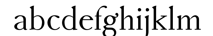 AccanthisADFStd-Regular Font LOWERCASE