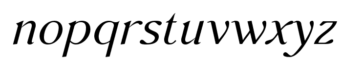 AccanthisADFStdNo2-Italic Font LOWERCASE