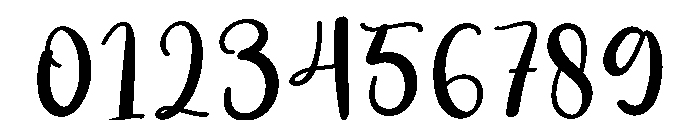 Activity1 Font OTHER CHARS
