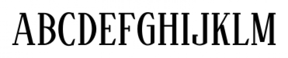 Aceserif Regular Font LOWERCASE