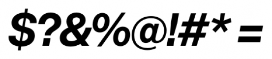 Acronym Bold Italic Font OTHER CHARS