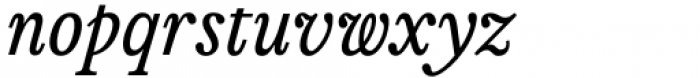 AC Honey Bee Serif Italic Font LOWERCASE