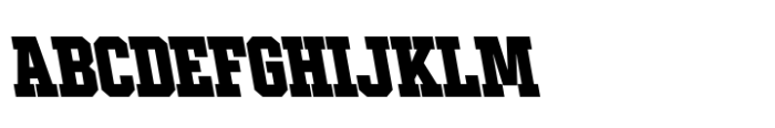 Ace Condensed Black Left Font