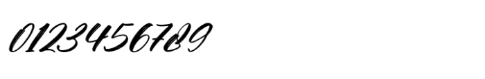 Actively Italic Font OTHER CHARS