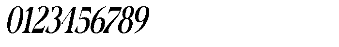 Actualis Light Condensed Italic Font OTHER CHARS