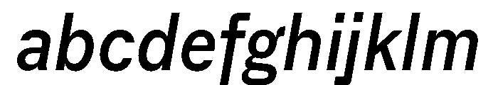 ACE NarrowItalic Instance FONT