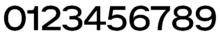 ACE Regular Instance Font OTHER CHARS