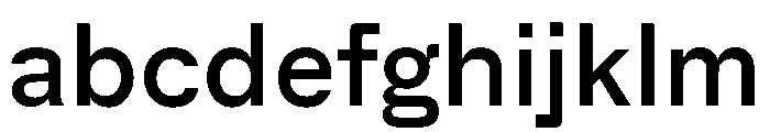 ACE Regular Instance FONT