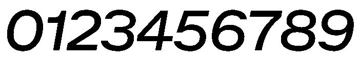 ACE RegularItalic Instance Font OTHER CHARS