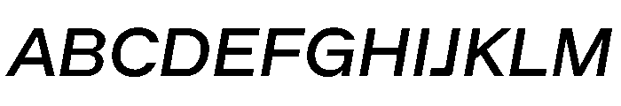 ACE RegularItalic Instance Font UPPERCASE