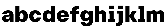 AcrylicBETA10 Black Instance 7b351e3f FONT