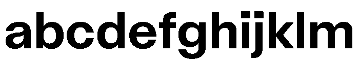 AcrylicBETA10 Bold Instance FONT