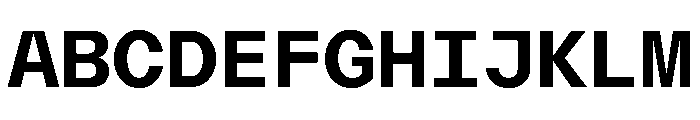 AcrylicMono Bold Font UPPERCASE