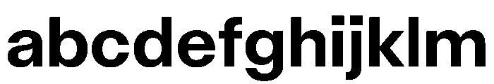 AcrylicOrtho Bold FONT